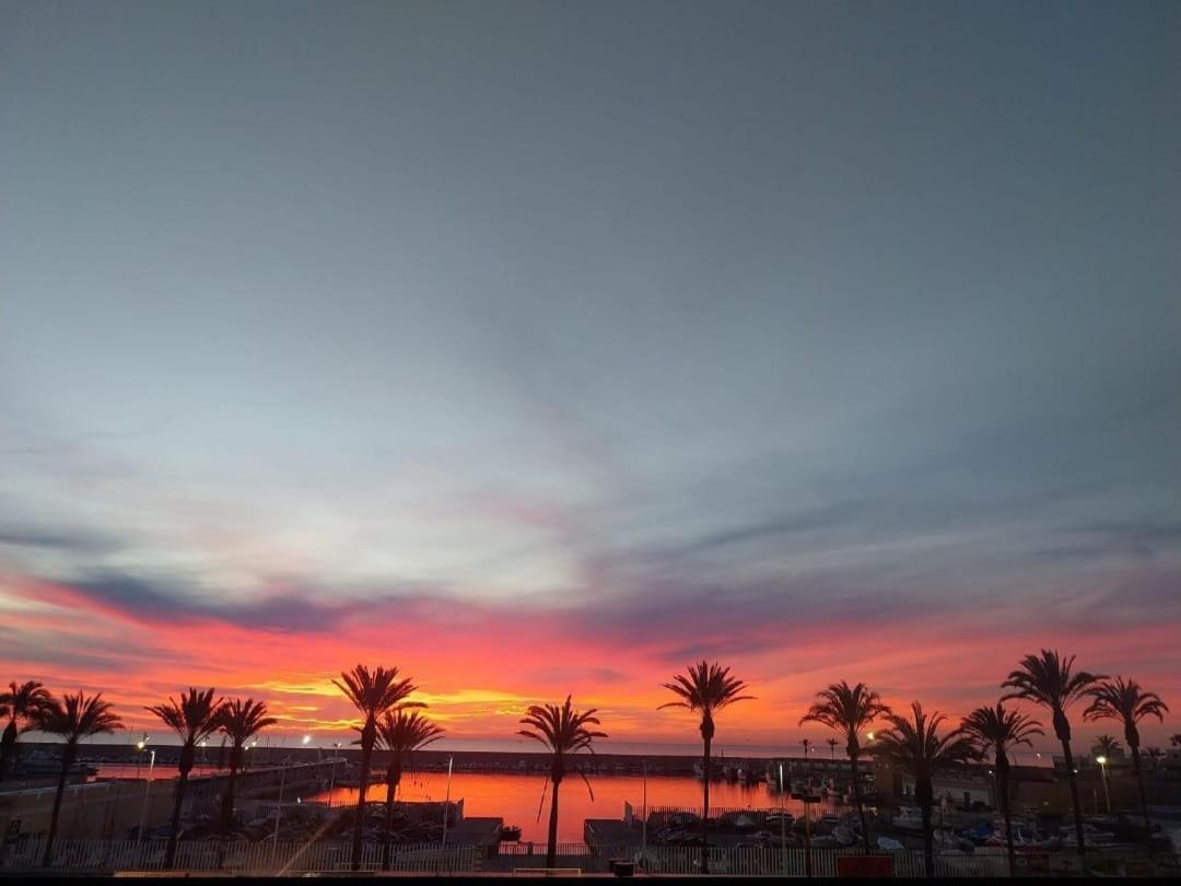 Oceanview Terrace